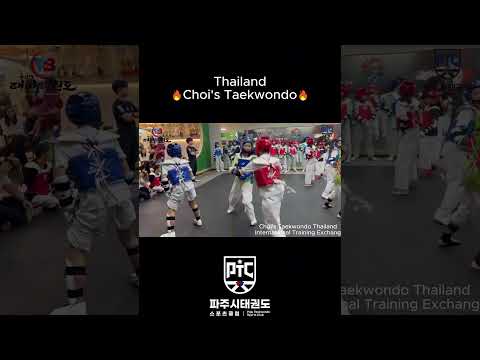 Choi's Taekwondo 2 #용인대태비태권도 #taekwondo  #파주시태권도스포츠클럽 #파주태권도