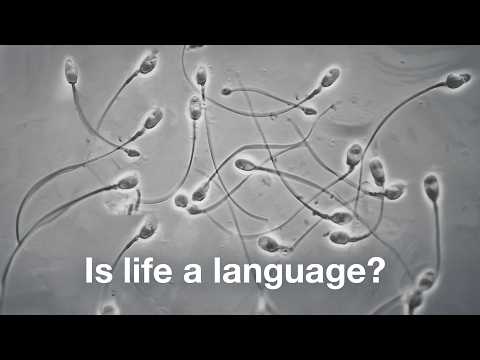 The most mysterious language on Earth isn’t human