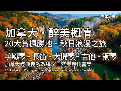 手風琴・長笛・大提琴・吉他・鋼琴 | 加拿大・醉美楓情| 20大賞楓勝地・秋日浪漫之旅 | 加拿大經典民歌改編・自然療癒純音樂|anadian Maple Leaf Journey Folk Song