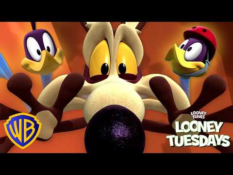 Looney Tunes en Español 🇪🇸  |Wile E. Coyote vs. el Correcaminos: ¿Quién GANARÁ? | @WBKidsEspaña​