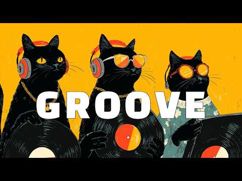 [Playlist] VINYL GROOVE SESSIONS | Neo Soul · Groove Pop