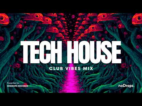 Minimal House Mix | NoDropz Express #002