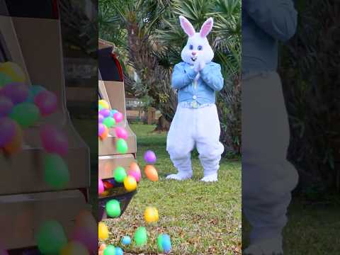 🐰 Easter Egg Hunt Adventure