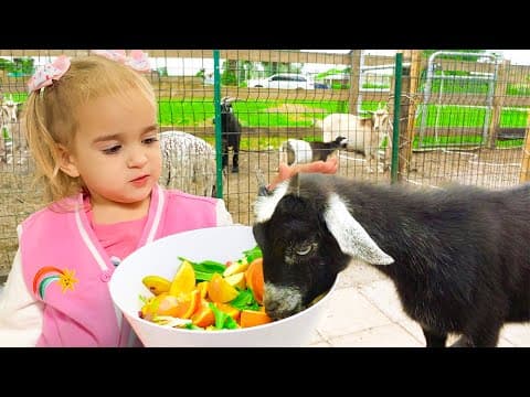 Alice ve Teyzesi çiftlikteki hayvanları besliyor