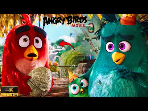 Red's Funniest Adventure  | Angry Birds Full Scene | 4K