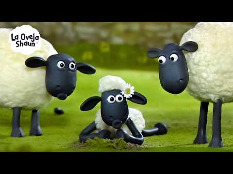 SHAUN, LA OVEJA MÁS TRAVIESA DE LA GRANJA 🐑🐑 | La Oveja Shaun (Dibujos Animados Para Niños)