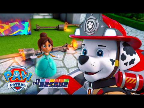 Fire In The Castle!🔥 Marshall and The Princess Save the Day | Full Episodes | PAW Patrol