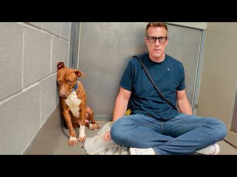 He Was Dumped in the Middle of Nowhere..So I Sat Down With Him