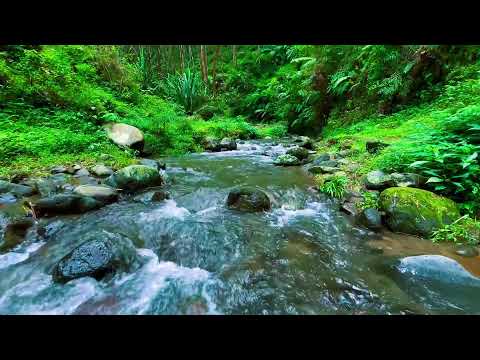 Relaxing River Sound emotional therapy to relieve stress and mental disorders for sleeping