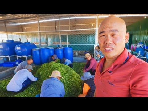 HÔM NAY SỰ CỐ BẤT NGỜ! THÉP PHẢI GỌI HẾT ANH EM ĐẾN LỤC TUNG ĐỐNG CỎ…