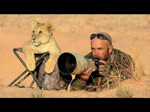 When Animals Completely Surprised Photographers 😂 Funniest Animals and Humans