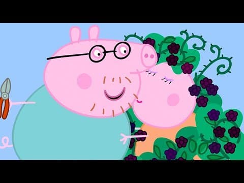 Peppa Pig en Español Episodios completos ❤️ LA ZARZA DE LAS MORAS  ⭐️Familia ⭐️ Pepa la cerdita