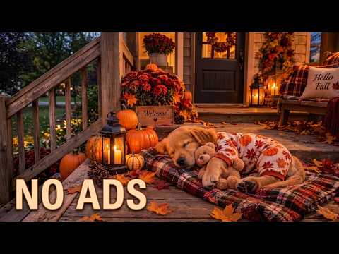 24 HOURS Gentle Sleep Music for Dogs 🐶🌙 Anxiety Relief, Cozy Comfort & Peaceful Rest 💖 No Ads