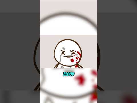 What It’s Like To Be Every MS-13 Rank