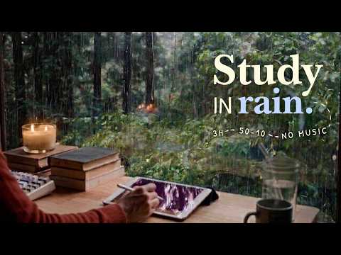3 HOUR STUDY WITH ME 🌧️ / Rainy Day In The Forest 🍃🐿️ / Pomodoro 50-10 / Rain Sounds / No Music