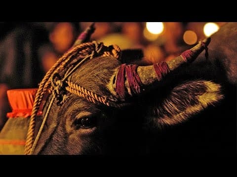 The Most Powerful Cut in Movie History is in Apocalypse Now