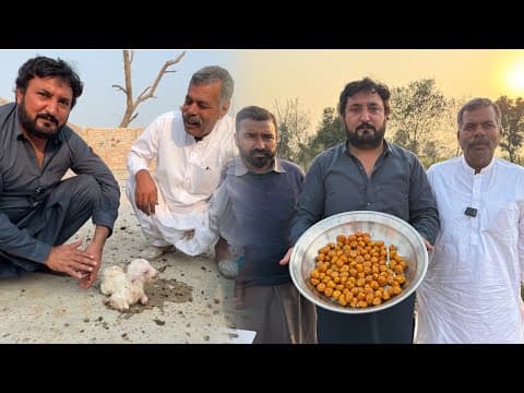 Aj sadi bakri sooi | Asi banay Khurmy punjab di purani mathai | Anjum Saroya