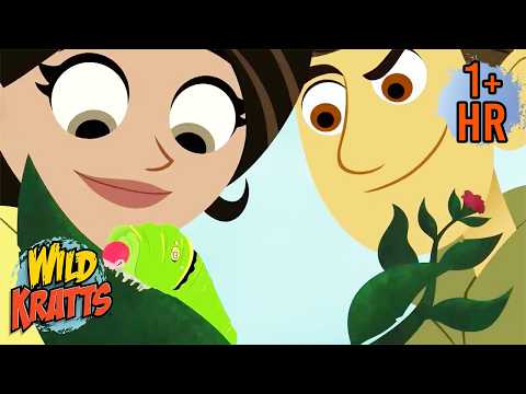 Voyage of the Butterflier | Full Episodes | Wild Kratts | Scholastic Kids