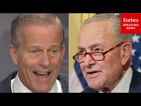 Thune: 'At Some Point The Democrats Are Going To Have To Take Yes For An Answer' On DHS Funding