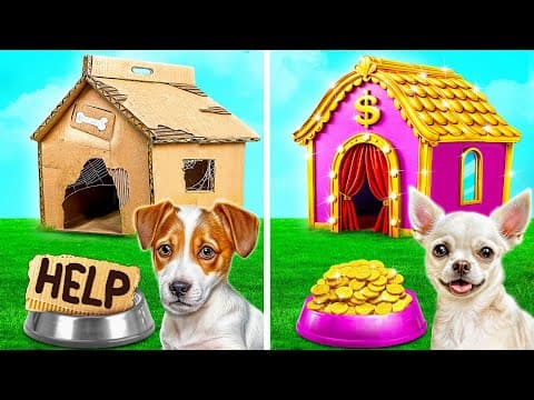 Rich Dog VS Poor Dog by Multi DO Smile