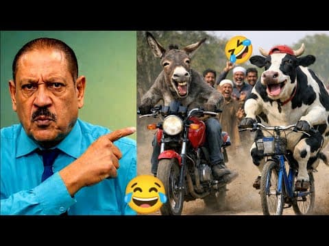 Funniest Videos Ever In The World | Try Not To Laugh Challenge 🤣😂👍😃 | Funny Video Part 22 | 