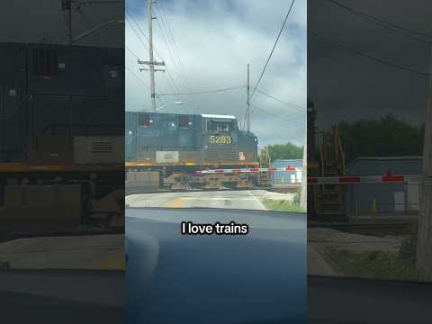 TRAAAIIINNN!! #train #tiktok #wlw #comedy