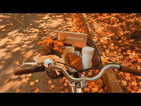 🍂 Playlist  가을엔 괜히 이런 노래만 찾게 돼 💛 | 듣자마자 빠져드는 느좋 팝송 🎧 | chill pop playlist | 감성팝송 • 카페음악