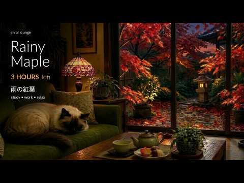 Rainy Maple Garden 🌧️🍁 3 Hours Cozy Autumn Lofi | Study, Work, Relax