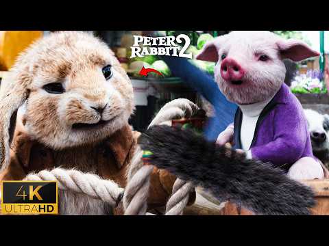 Peter Rabbit and Friends Destroy the Market