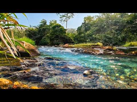🔴 LIVE Crystal Clear River Sounds 🌊 Relaxing Nature Ambience for Study, Meditation & Stress Relief