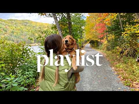 fall makes it feel like only good things are coming 🐶🍂 feel-good groovy pop you’ll keep replaying 🎧