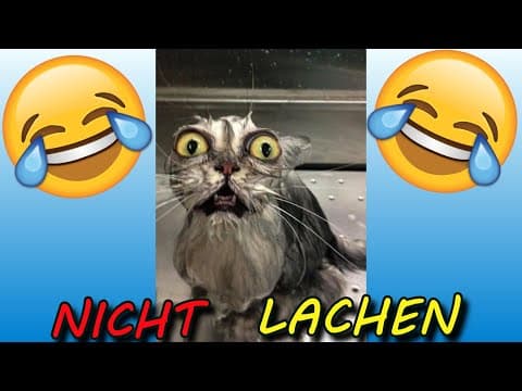 VERSUCHE NICHT ZU LACHEN !!! 🤣🤣🤣 #40