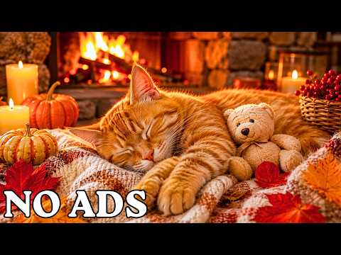 Calming Music for Cats With Anxiety 🐾🎵 Soothing Sounds for Deep Sleep & Relaxation 💖 No Ads