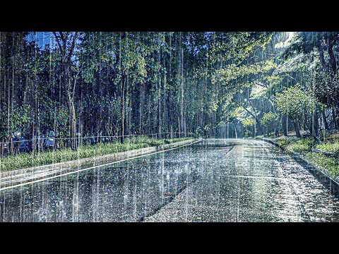 Fall Asleep Fast with Heavy Rain Sounds | Insomnia Relief, Tinnitus Relief, White Noise ASMR