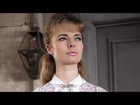 Wagon Train (1963) 'Alias Bill Hawks'