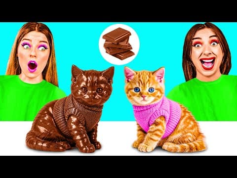 Real Food vs Chocolate Food Challenge | Crazy Challenge