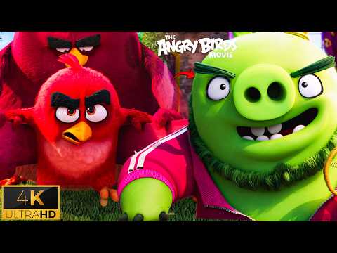 Birds Prepare for War Scene – Attack on Pig Island (Angry Birds)