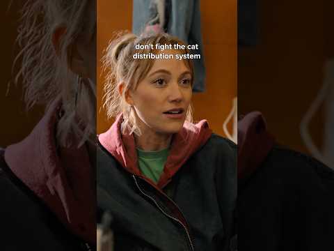 don't question the cat distribution system 💛