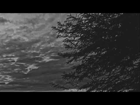 nicki minaj - the night is still young (slowed down)