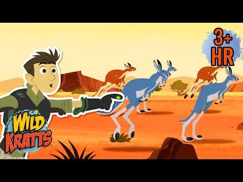 Follow the Kangaroos! | Full Episodes | Wild Kratts