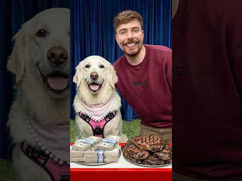 Would Your Dog Pick $10,000 or Steak?