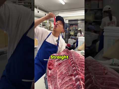 This person eats Tuna to the bone?