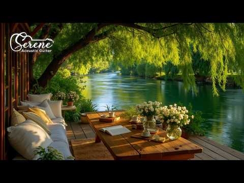 Peaceful Acoustic Guitar - Soft Fingerstyle Melodies for Healing and Better Sleep Quality