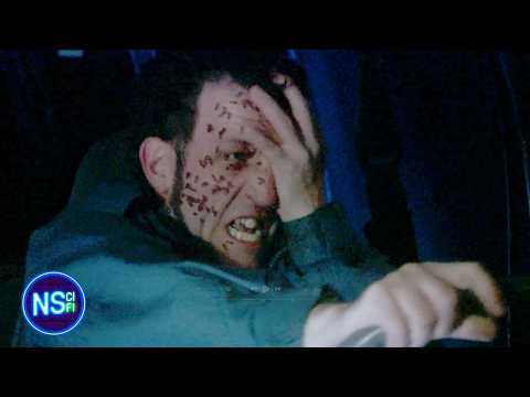 Army of Ants Rescue Deaf Girl From Kidnappers | Odyssey 5