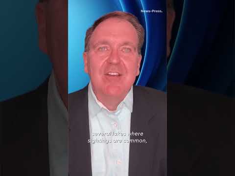 Swimming in Florida this summer? See 5 'snake-infested' lakes to avoid