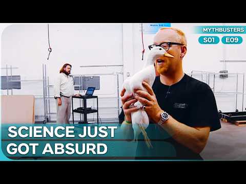 Testing If a Duck’s Quack Can Actually Defy the Laws | Mythbusters Season 1 Episode 9