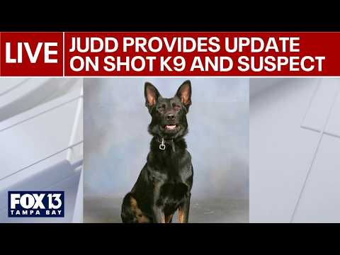 Judd provides update on shot K9 and suspect