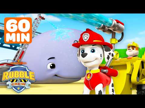 60 Minutes of PAW Patrol Outdoor Adventures! 🌲🐾 w/ Rubble & Marshall | Rubble & Crew