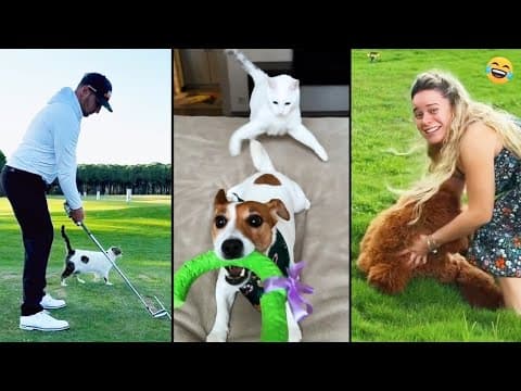 Funny ANIMALS videos 😂 Funniest CATS🐈 and DOGS🐕 2026