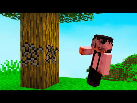 NU POT ATINGE LEMNUL din MINECRAFT...